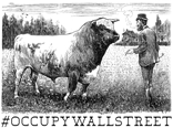 occupy wall street